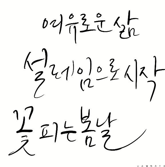  캘리그라피 연습