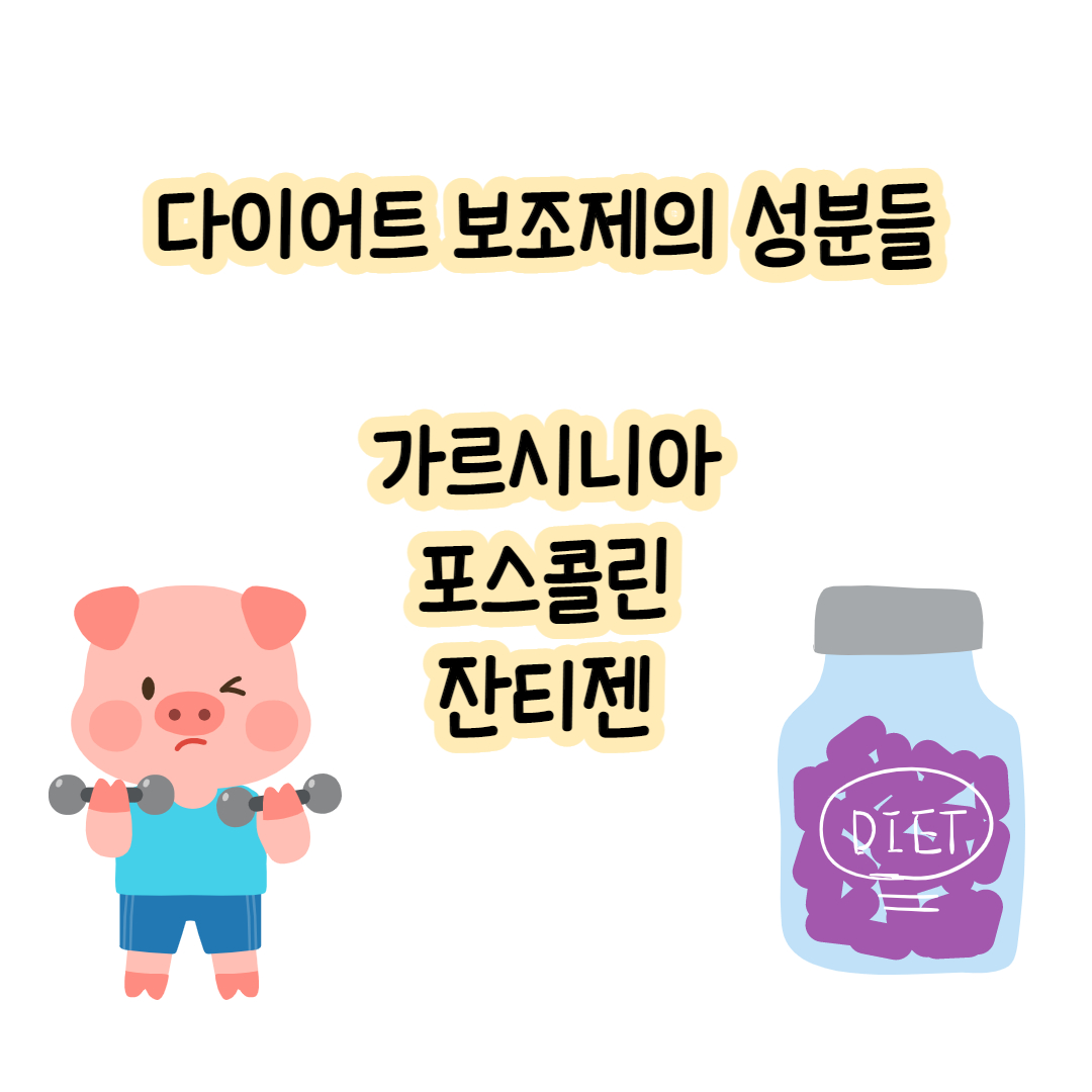  다이어트 보조제 성분들 : 가르시니아, 포스콜린, 잔티젠