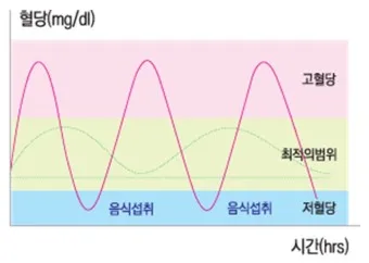 식후혈당 1시간 2시간 3시간 정상수치_12