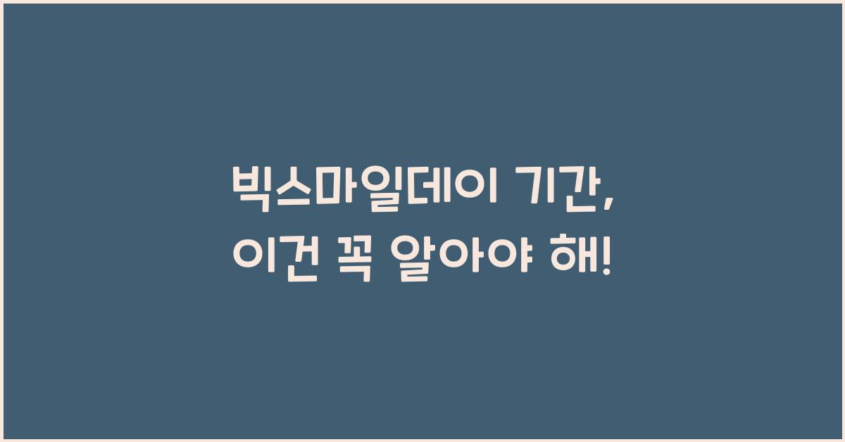 빅스마일데이 기간