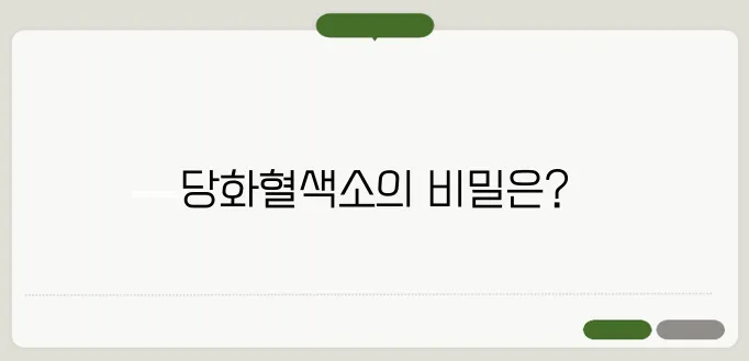 당화혈색소란? 당뇨를 예방하려면 꼭 알아야할 당화혈색소와 공복혈당!