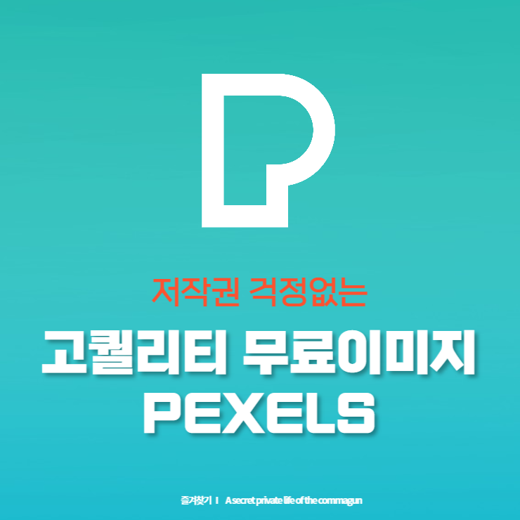  PEXELS에서 무료이미지, 무료동영상 다운로드 받으세요