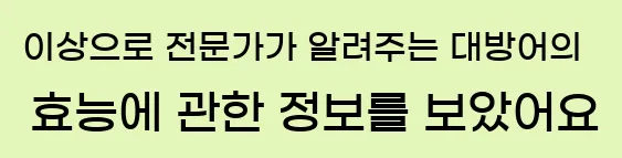  이상으로 전문가가 알려주는 대방어의 효능에 관한 정보를 보았어요