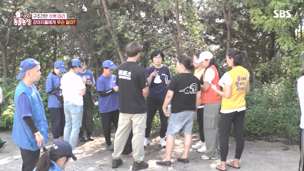 TV 동물농장.E1142.231023p-NEXT.mp4_20231022_171905.328.jpg