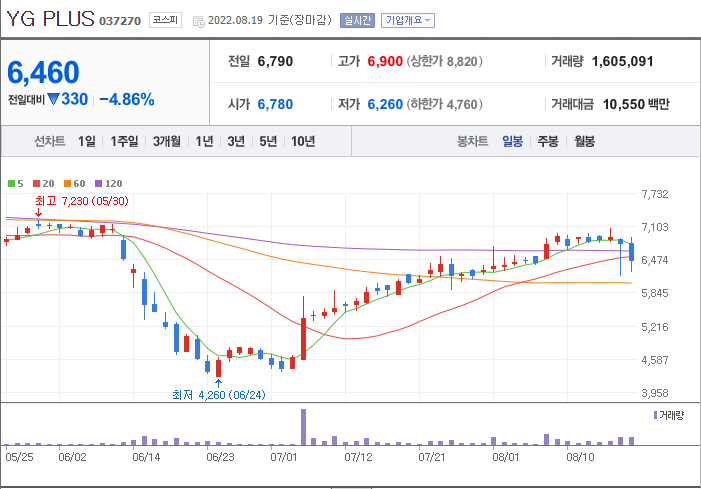 YG PLUS 주가 하락세