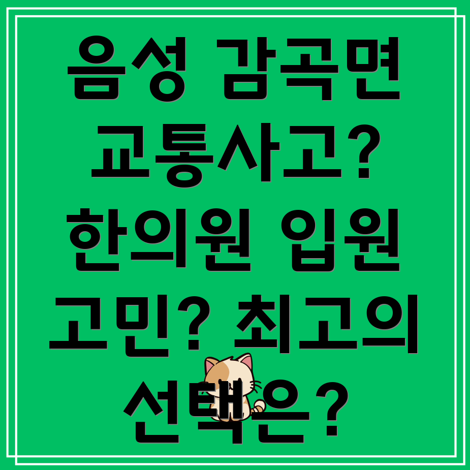음성군 감곡면 교통사고 한의원