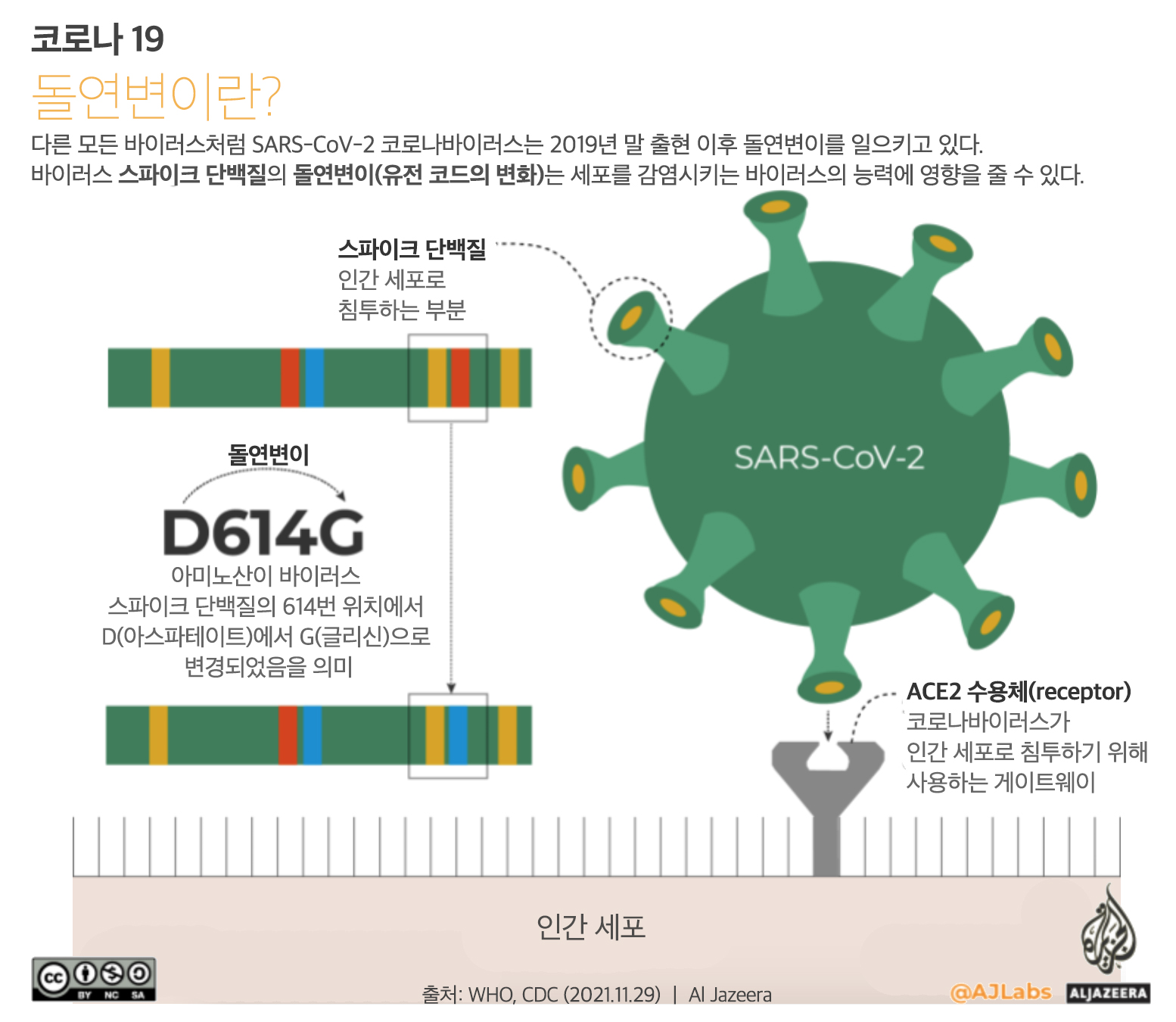 그래프] 오미크론 변이와 다른 변이의 비교: 알파/베타/감마/델타/오미크론 발생 시기, 명명법, 스파이크 단백질 돌연 변이, 전 세계  유병률