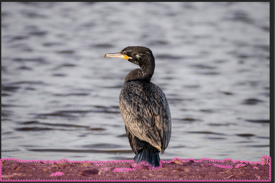 Delete and Fill Selection 바닥에 적용