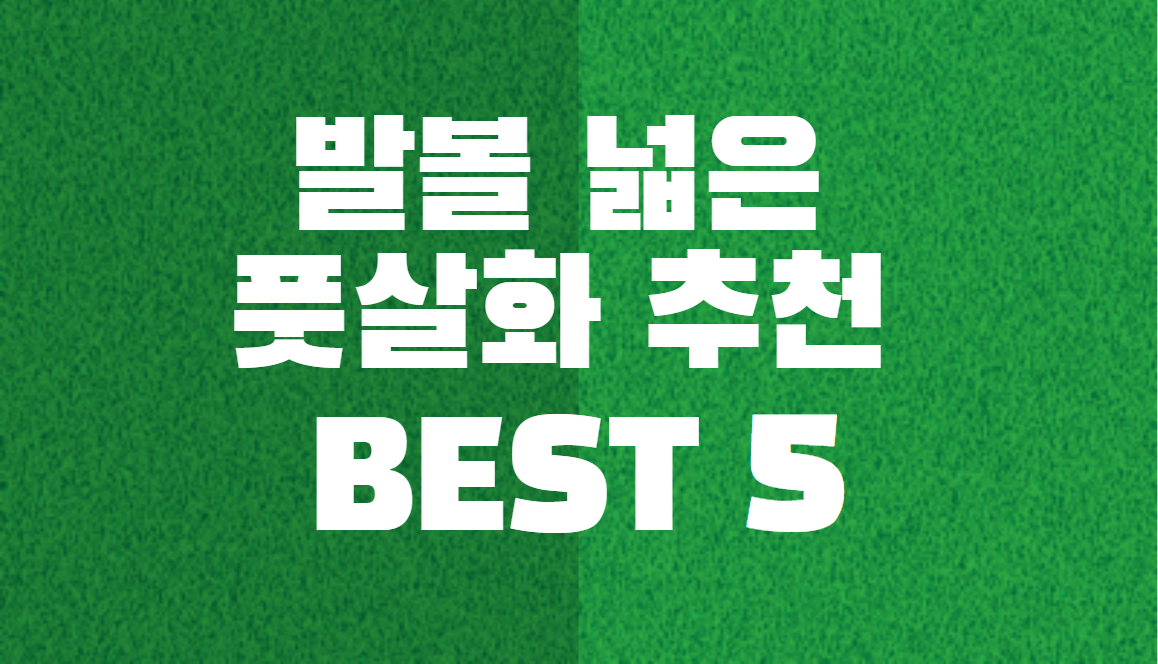  발볼 넓은 풋살화 추천 BEST 5