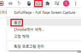 GoFullPage-옵션