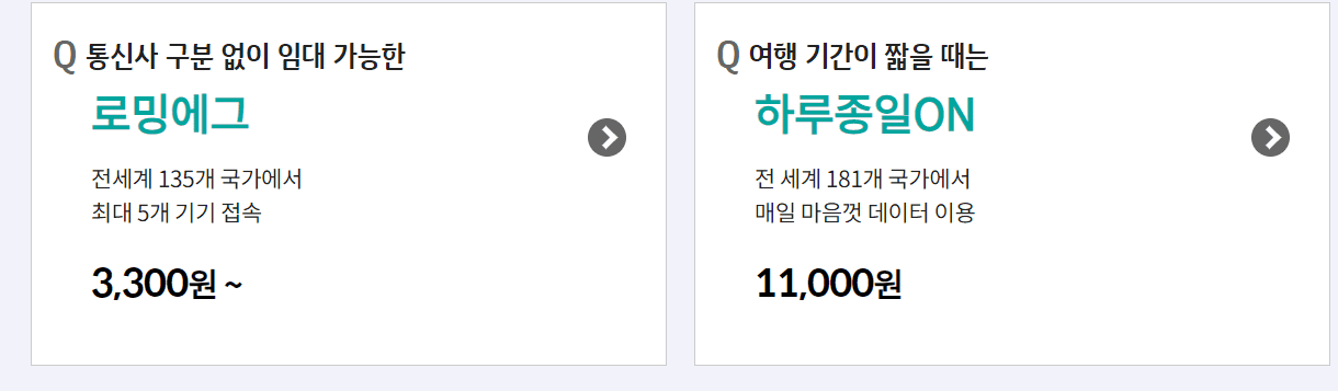 KT 로밍 사진