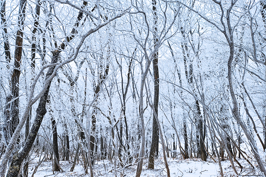 소백산국립공원 삼가동코스 이미지