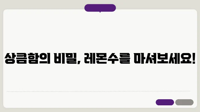 레몬수 만들기