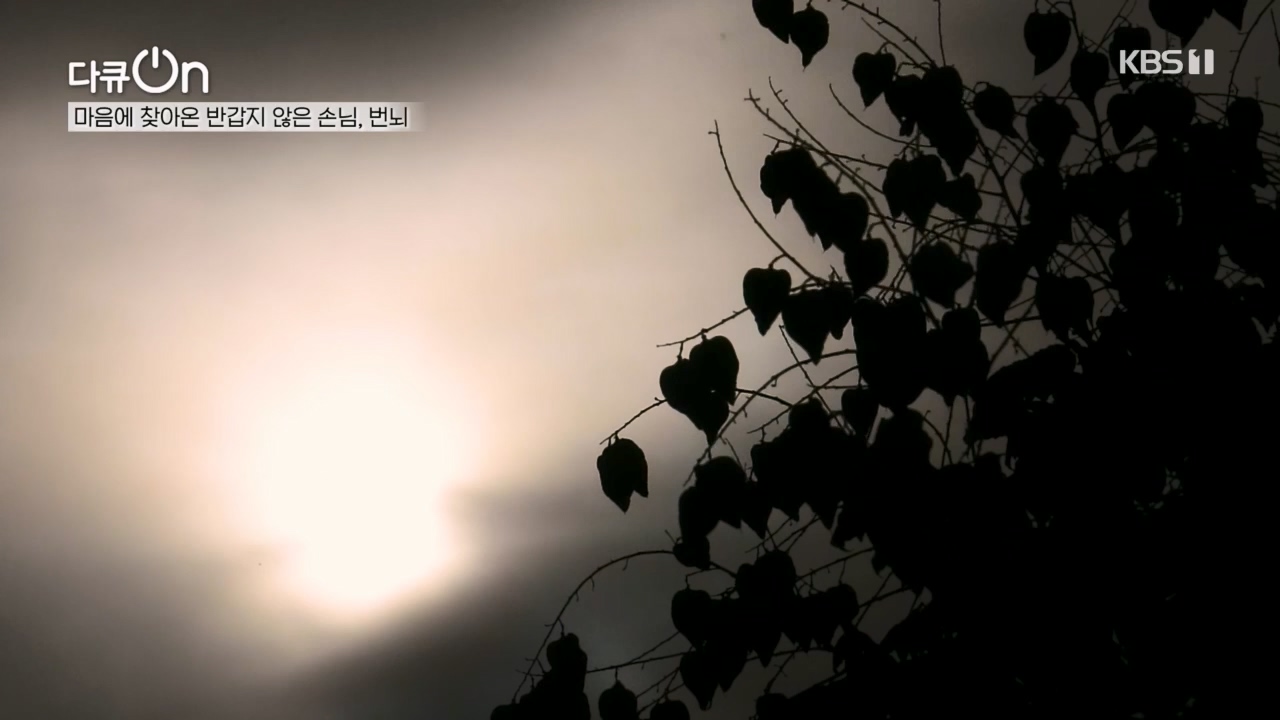 다큐 On.E221.231030p.H264-F1RST.mp4_20231031_202726.681.jpg