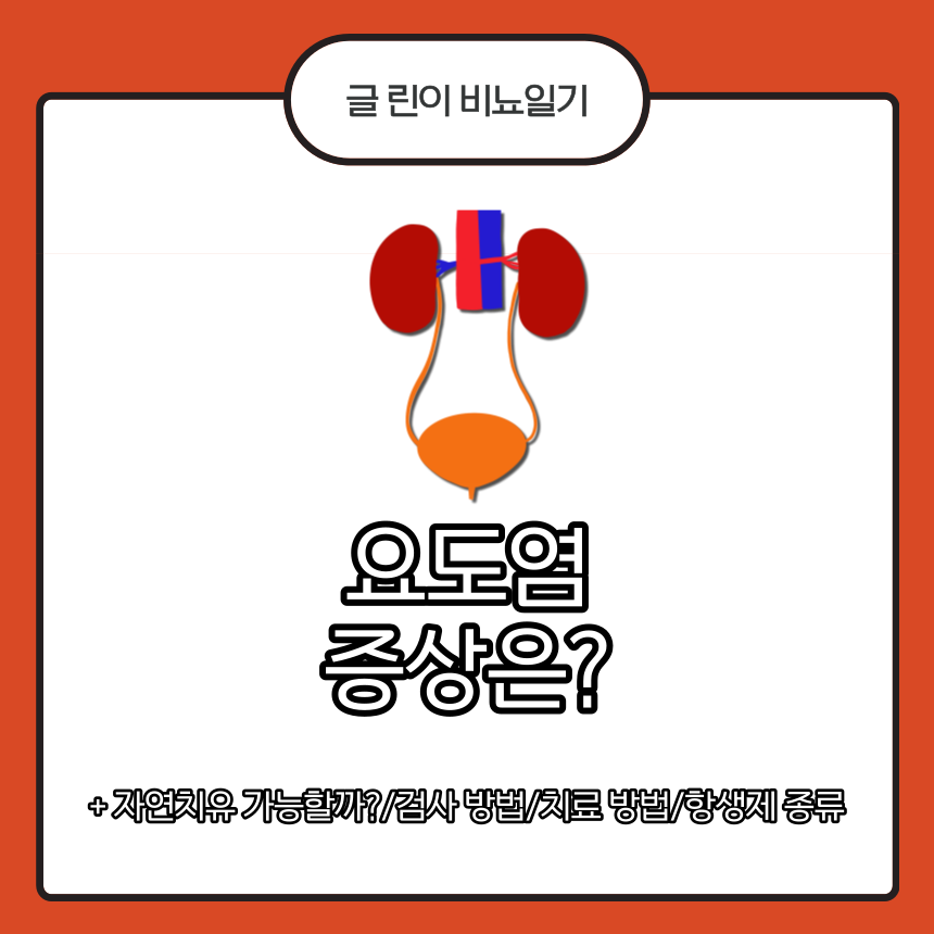  요도염 증상은?