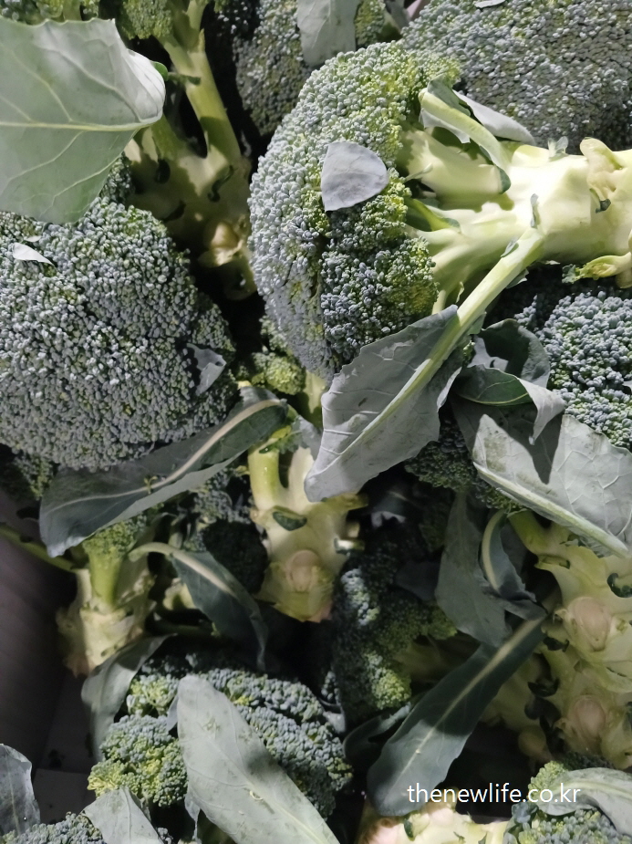 : Fresh broccoli in a traditional Korean market- 재래시장에 진열된 신선한 브로콜리