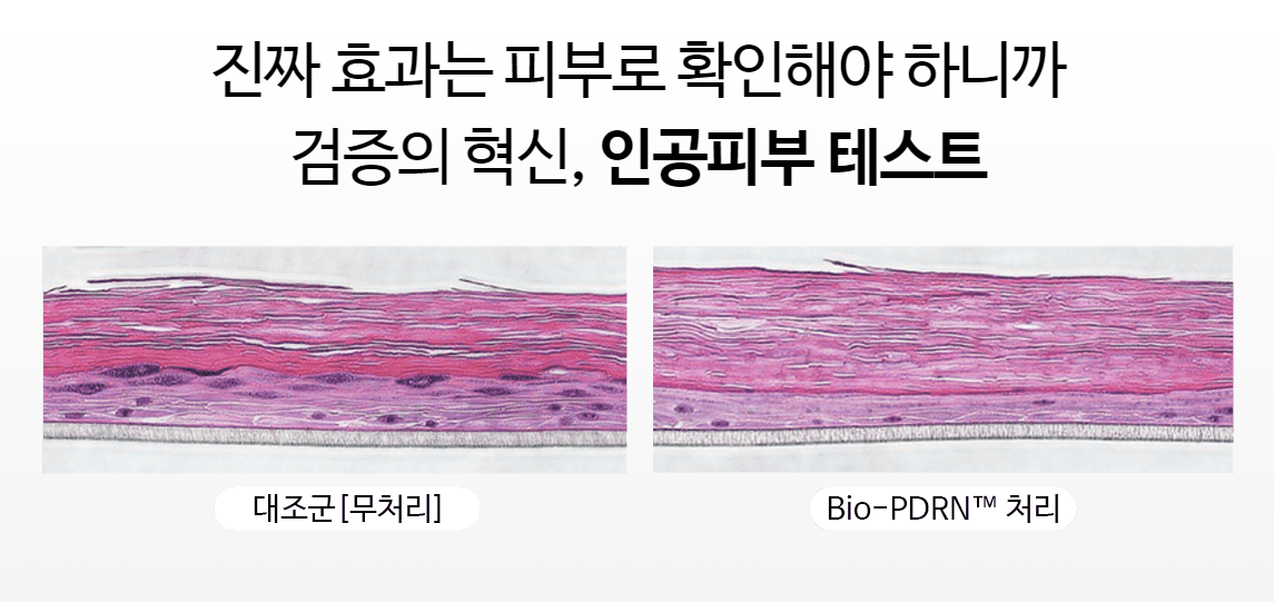 아이오페 PDRN 카페인 샷 앰플 인공피부 테스트