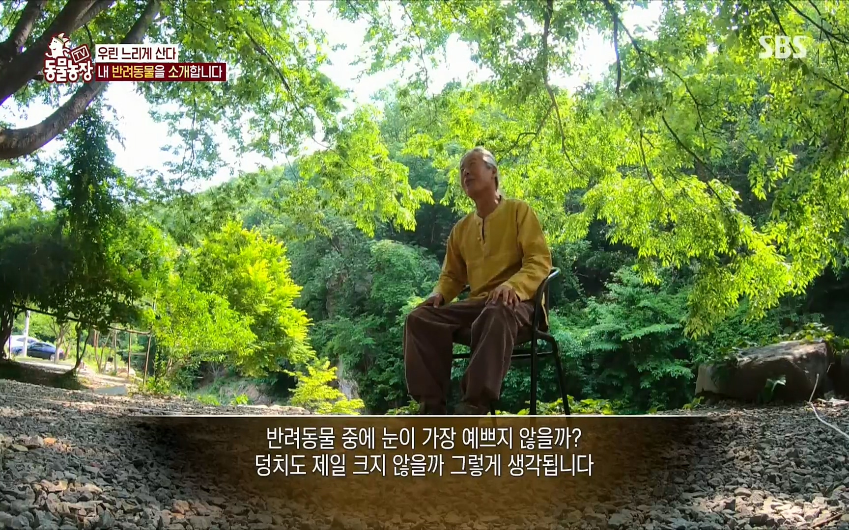 TV 동물농장.E1074.220619p.H264-F1RST.mp4_20220619_180838.396.jpg
