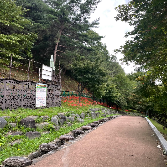  [구미] 에코랜드 산책로 <산동참생태숲>