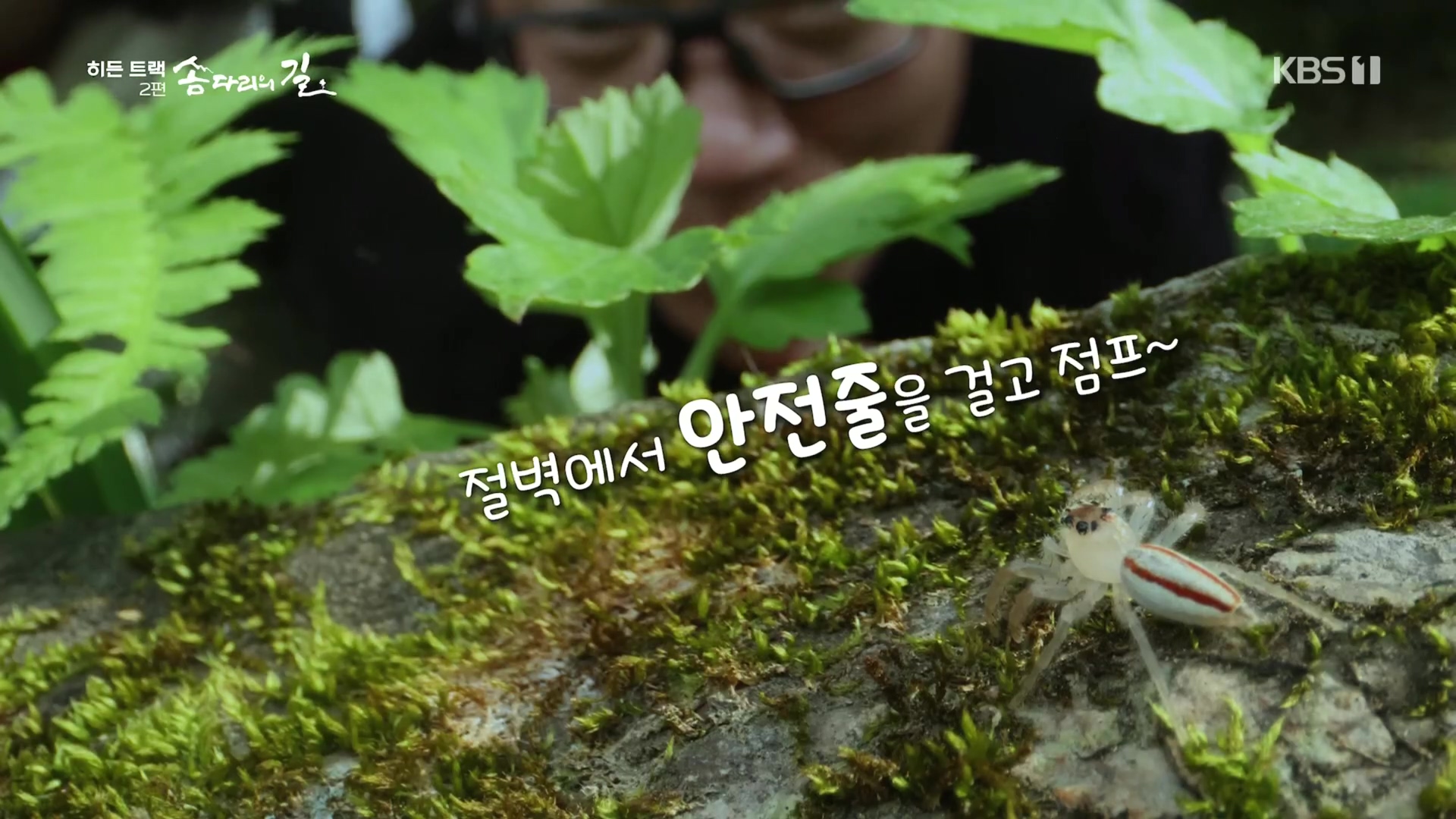 다큐 인사이트.E02.231215p.H264-F1RST.mp4_20231216_184040.455.jpg