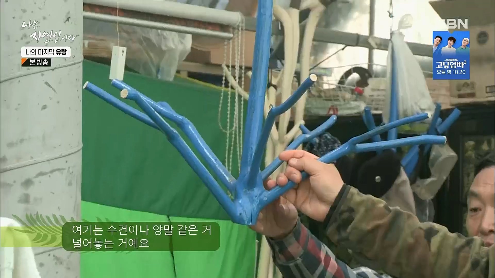 나는 자연인이다.E541.230215p.H264-F1RST.mp4_20230216_192652.059.jpg