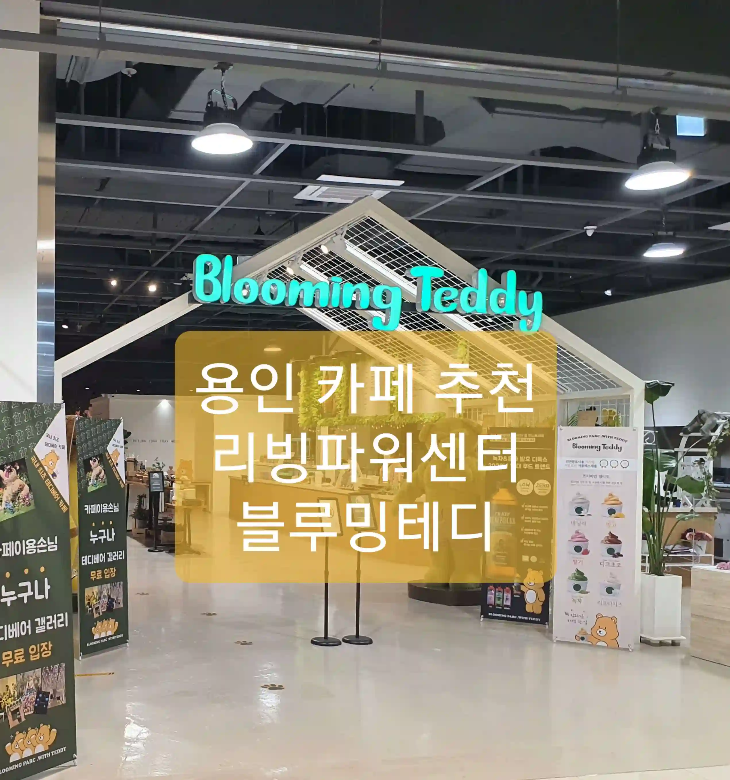  용인 카페 블루밍테디 아기랑