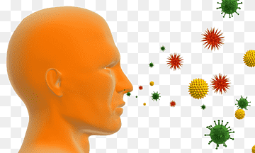 알레르기 비염의 원인과 증상&amp;#44; 진단과 치료 및 예방 방법