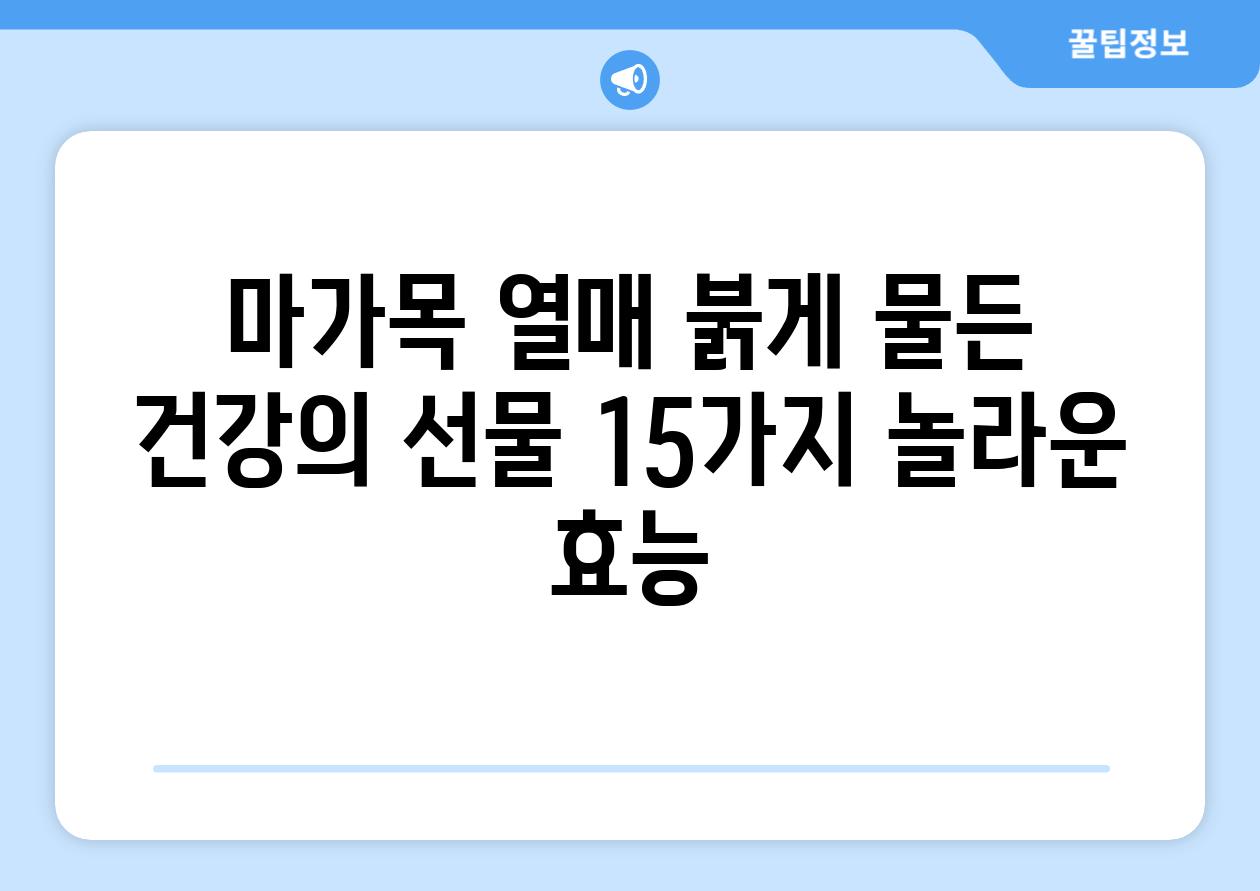 마가목 열매 붉게 물든 건강의 선물 15가지 놀라운 효능