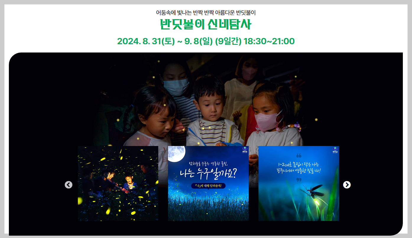 무주반딧불축제