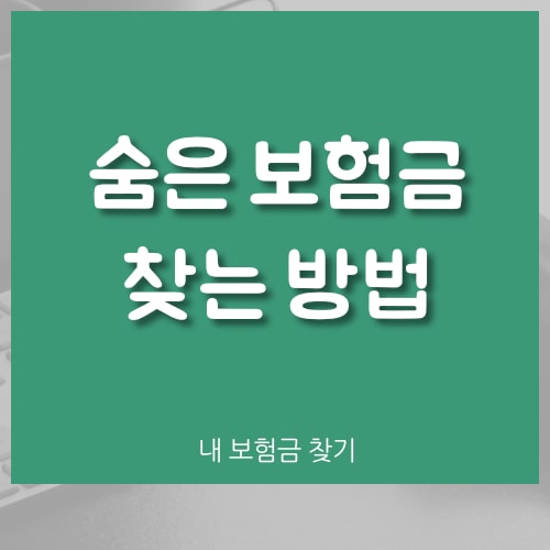  숨은 보험금 찾기 (내 보험 찾기)