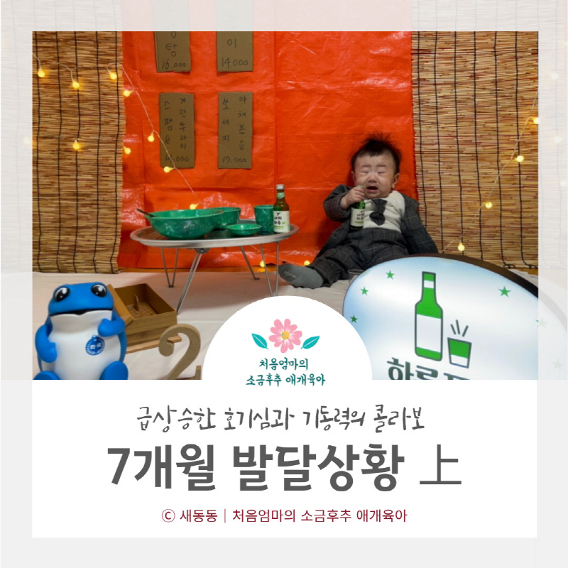  7개월 아기 발달상황 上