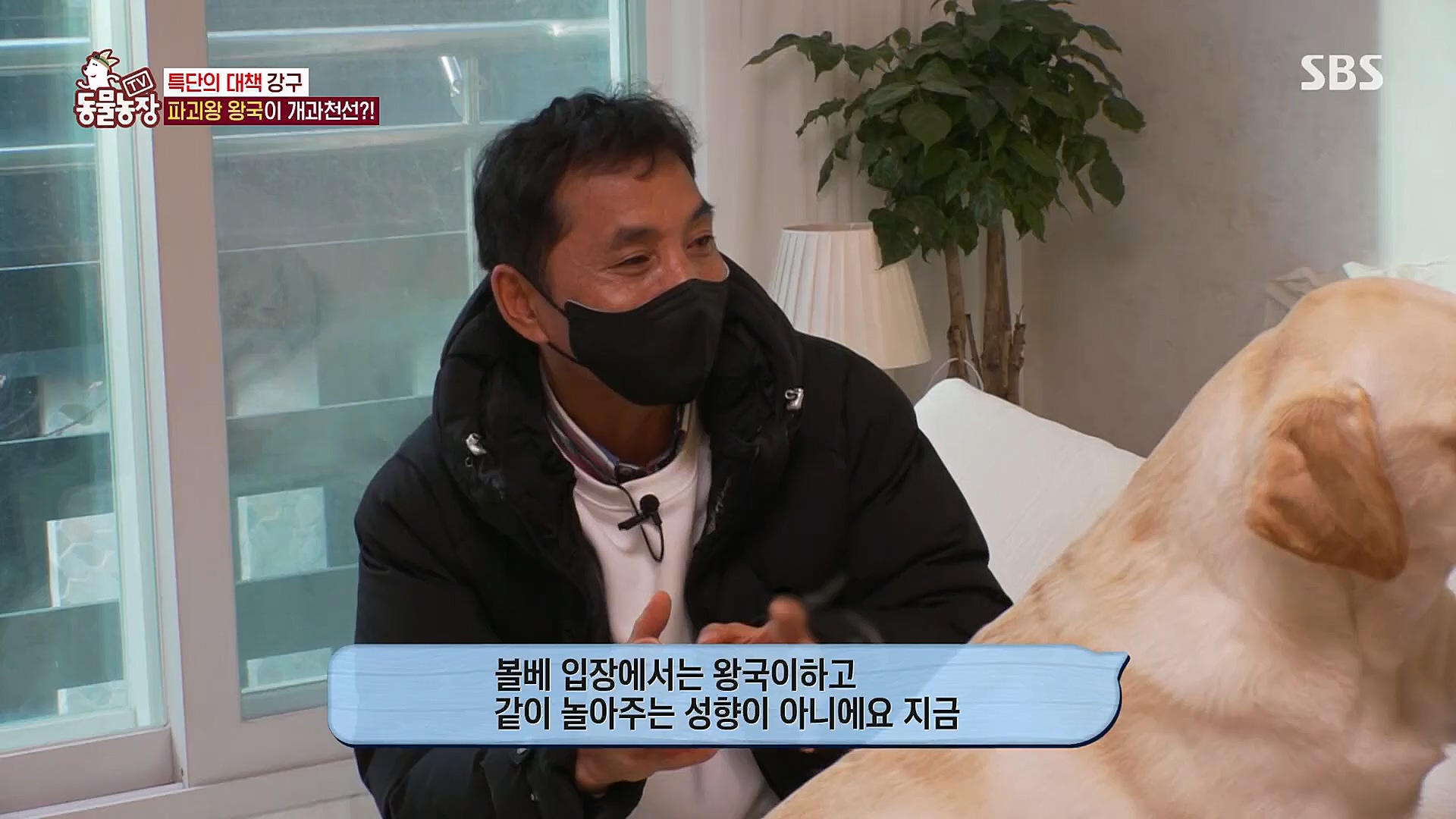 TV 동물농장.E1106.230129p.H264-F1RST.mp4_20230130_192730.352.jpg
