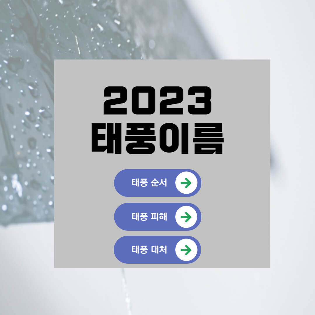 2023년 태풍 이름