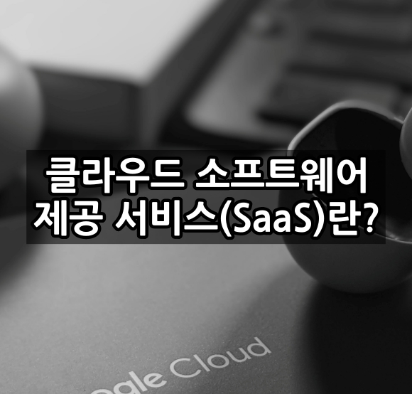 클라우드 소프트웨어 제공 서비스(SaaS)