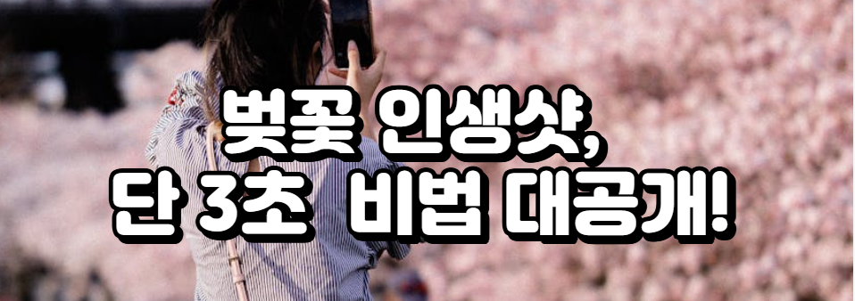 벚꽃 인생샷, 단 3초 비법 대공개!