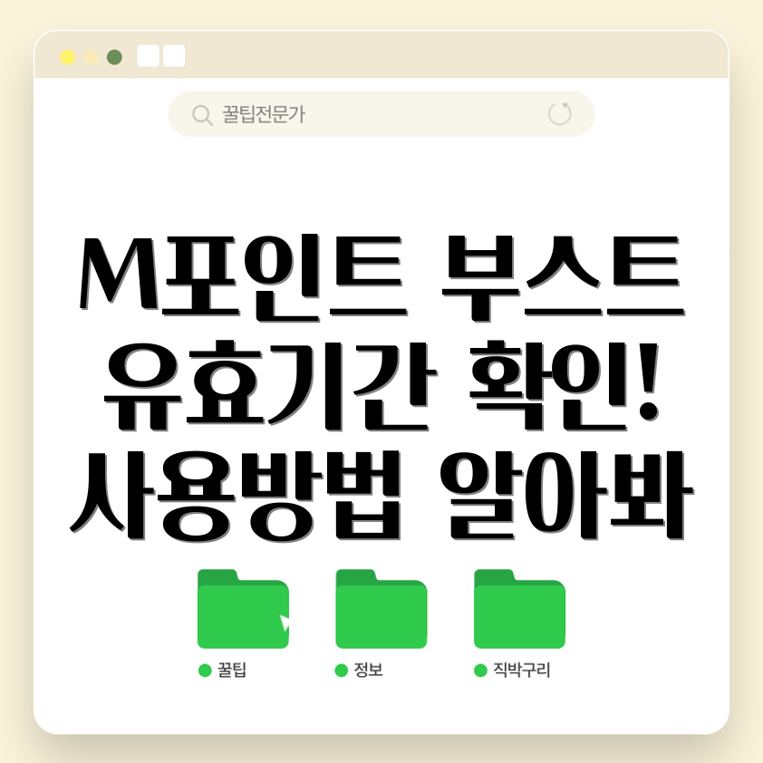 현대카드 M포인트 부스트 유효기간