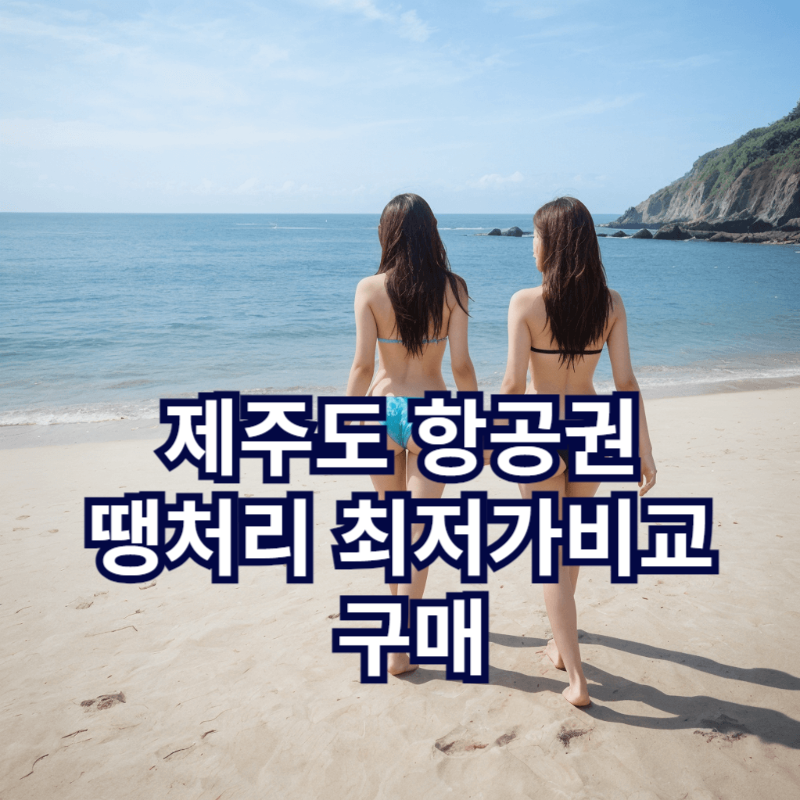 제주도 항공권을 땡처리 최저가비교 구매해 여행중인 친구들