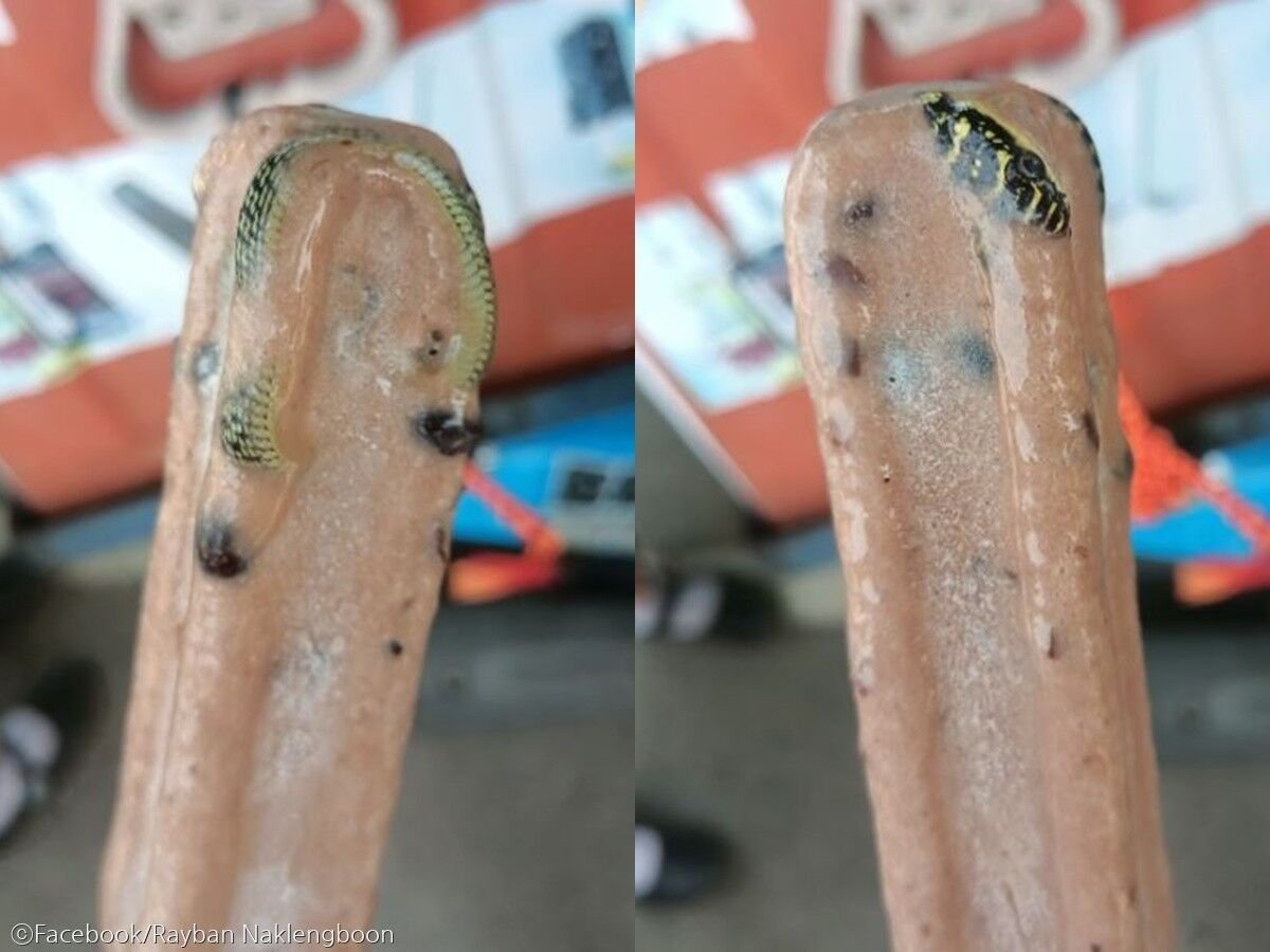 길거리아이스크림 이미지