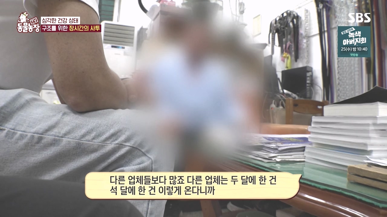 TV 동물농장.E1142.231023p-NEXT.mp4_20231022_172953.690.jpg