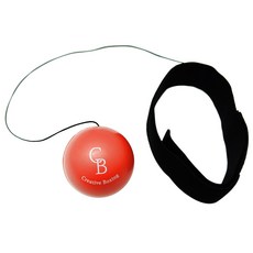  복싱 다이어트 운동기구 '탭볼',  노스바이크 복싱볼 초보자용 + 숙련자용 세트,  가격+후기정보