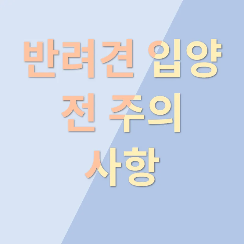 반려견 입양_2