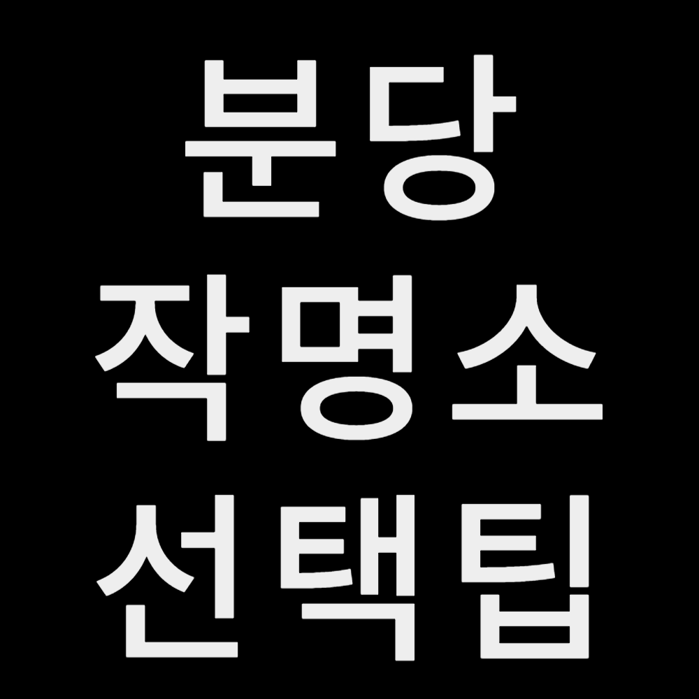 분당작명소