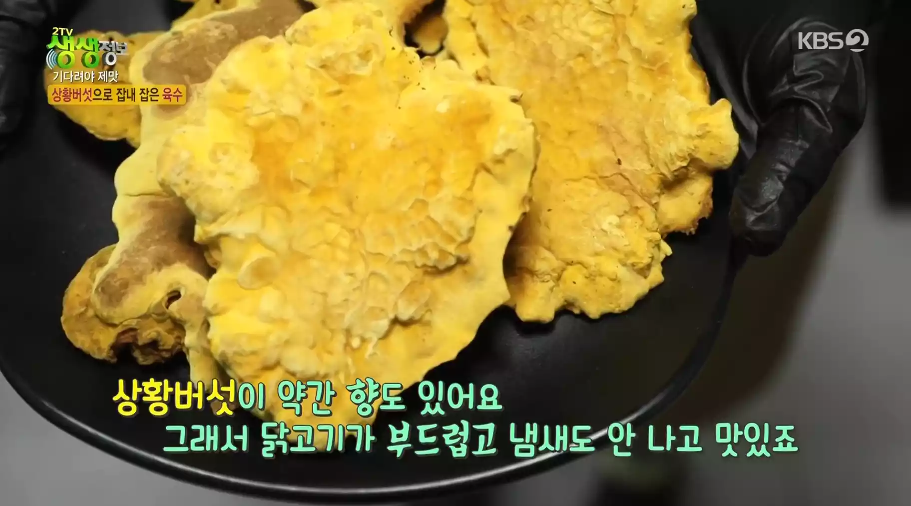 상황버섯