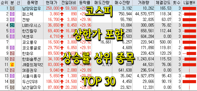  코스피/코스닥 상한가 포함 상승률 상위 종목 TOP 30 (0618)