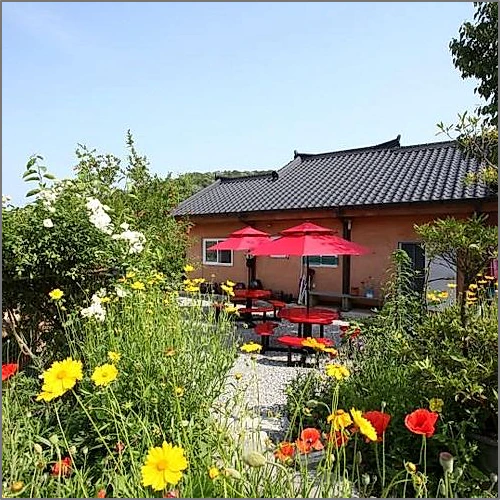 장성 축령산편백하우스펜션 (Jangseong Chungnyeongsan Pyeonbaek House Pension)_5