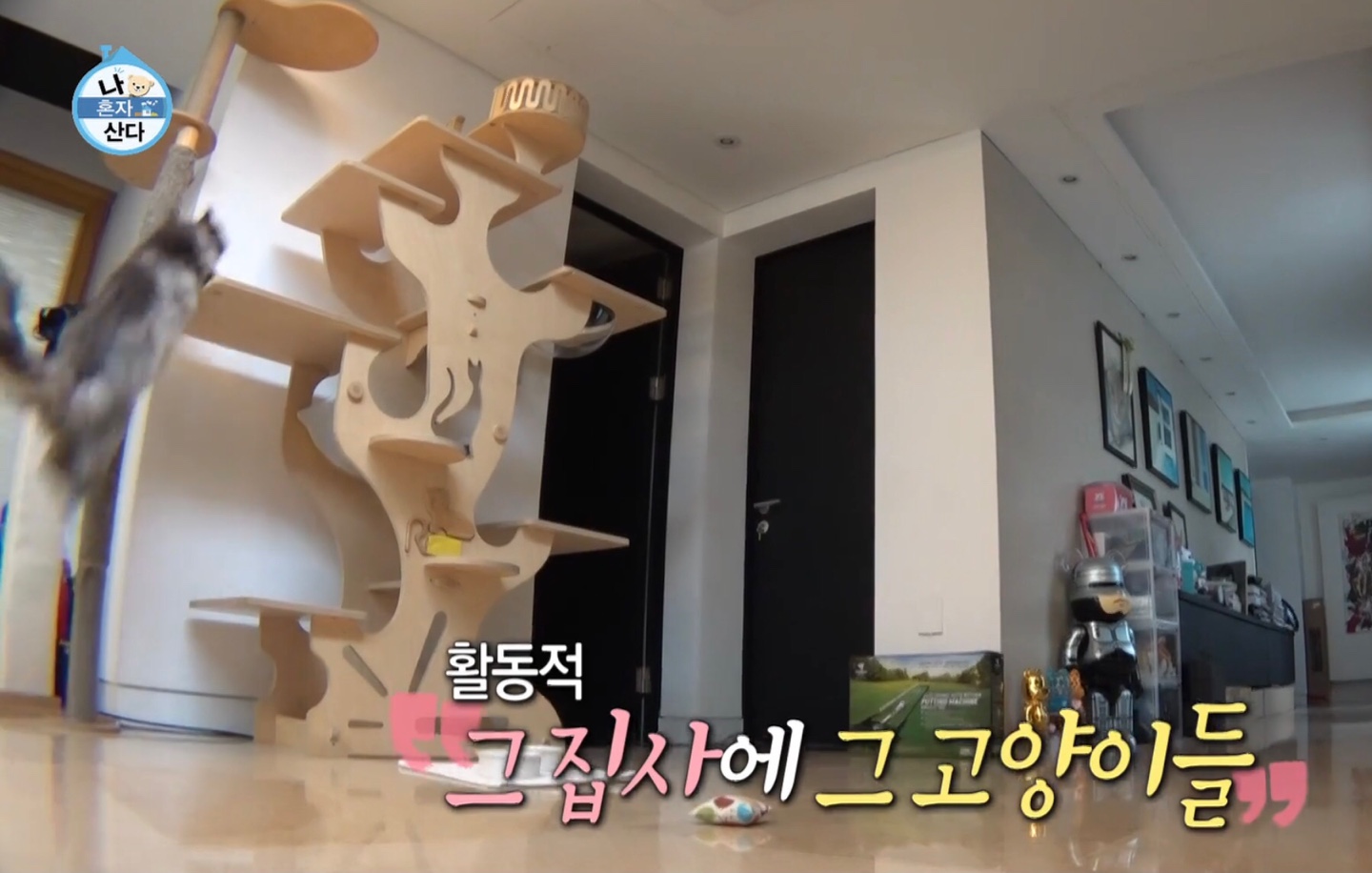  나혼자 산다 준호 캣타워 우리집편