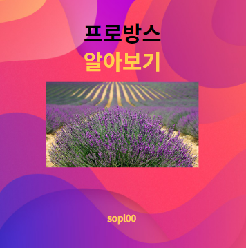 프로방스에 대해 알아보기