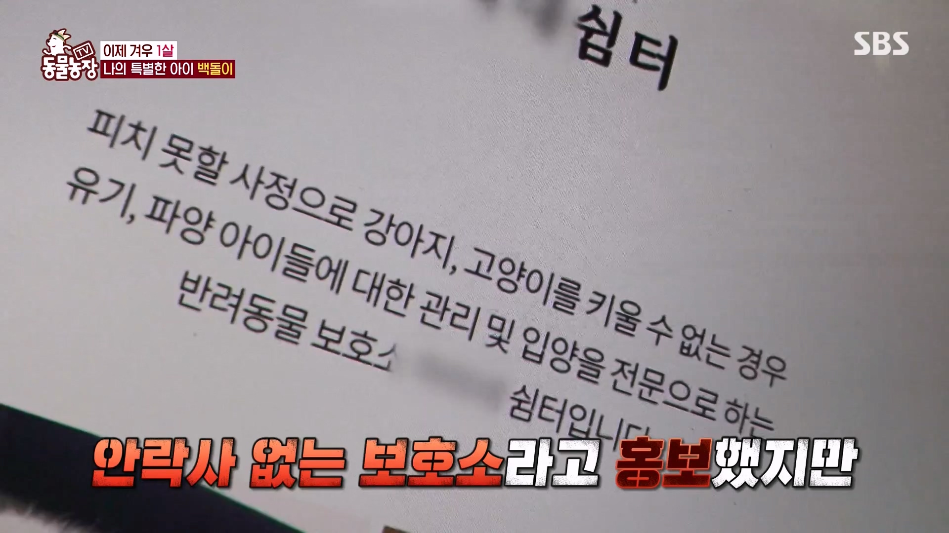 TV 동물농장.E1164.240324p-NEXT.mp4_20240324_172344.824.jpg