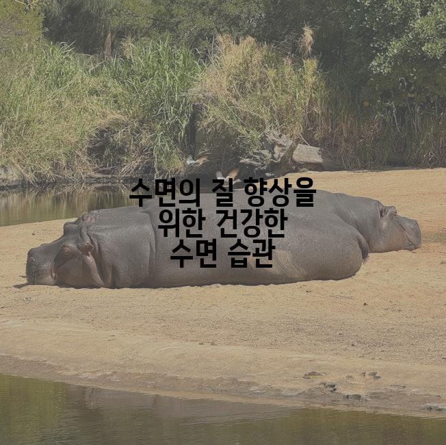 수면의 질 향상을 위한 건강한 수면 습관
