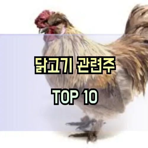 닭고기-관련주